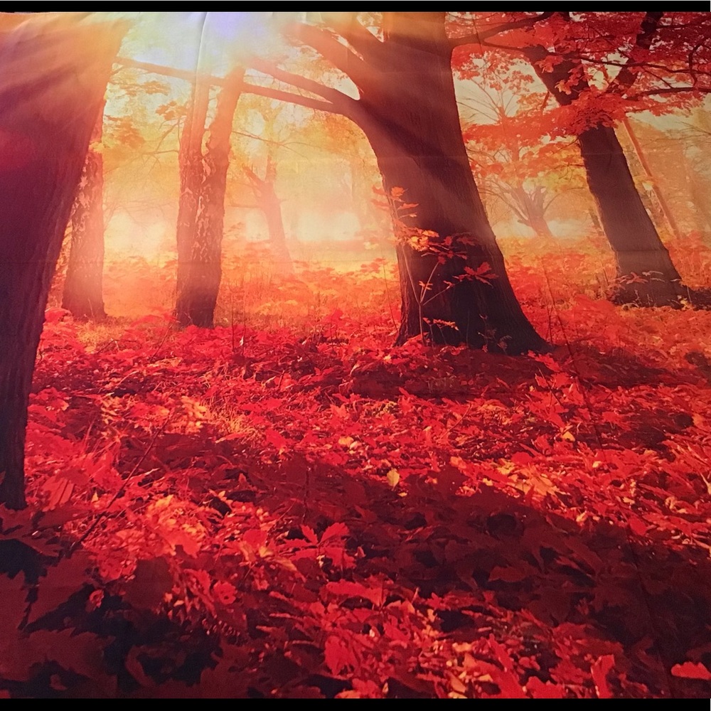 Fall tapestry